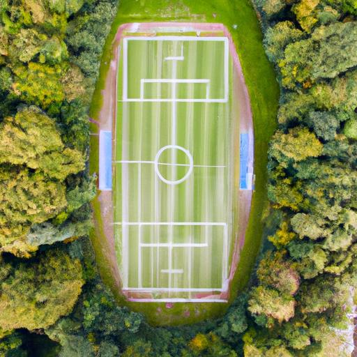 Phong cảnh từ trên cao của sân bóng đá được bao quanh bởi cây xanh.